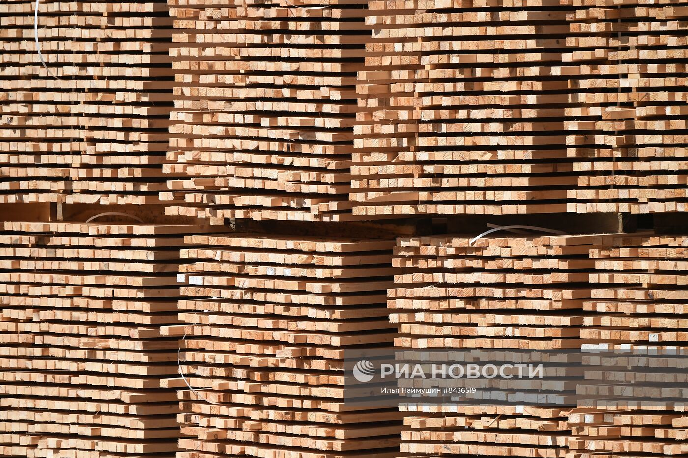 Предприятие лесозаготовки "Центр Сибири" в Красноярском крае