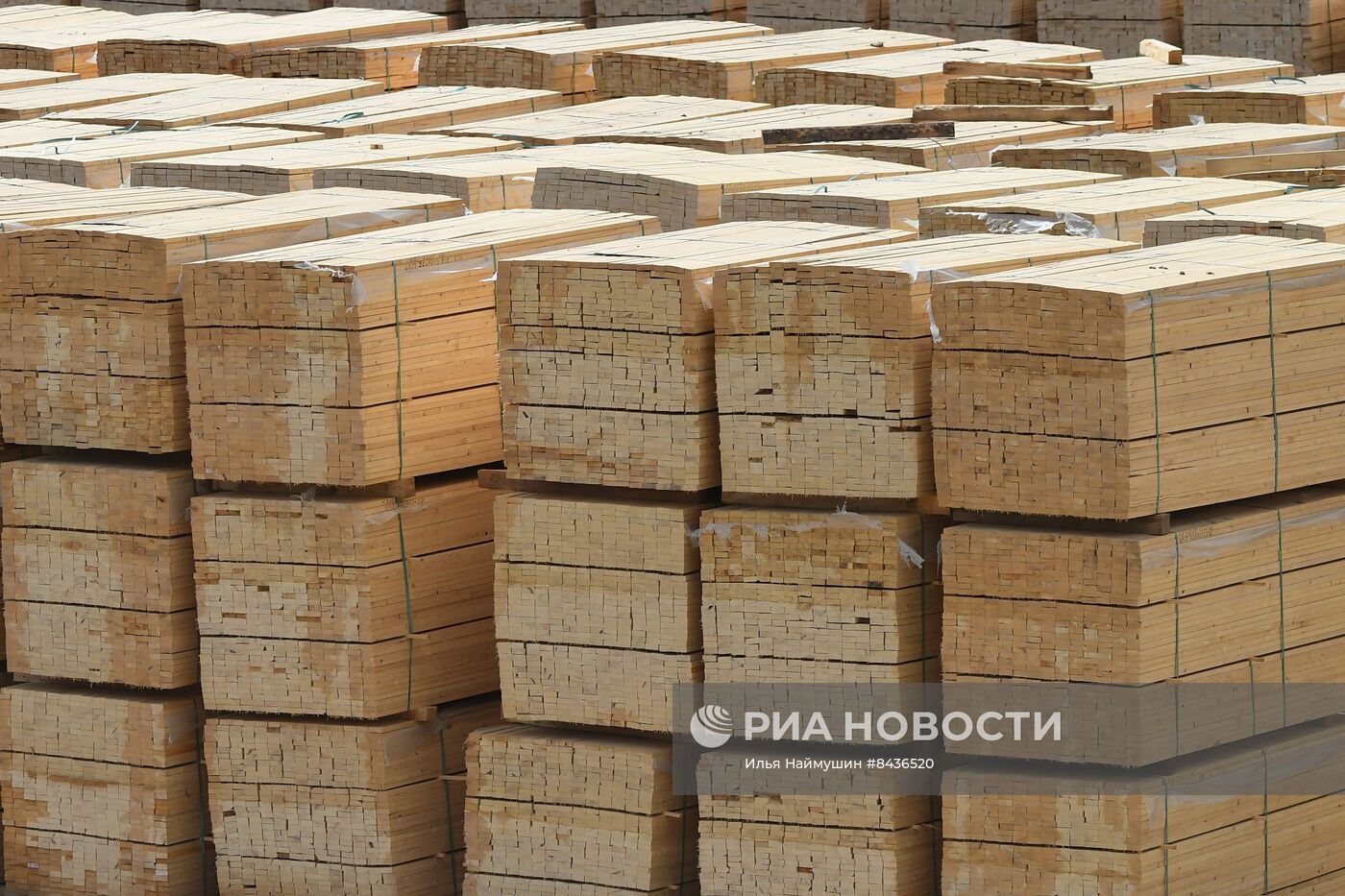 Предприятие лесозаготовки "Центр Сибири" в Красноярском крае