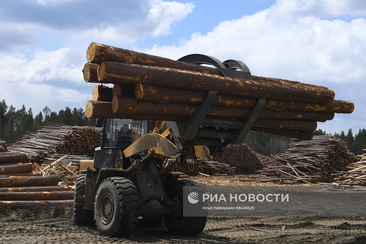 Предприятие лесозаготовки "Центр Сибири" в Красноярском крае