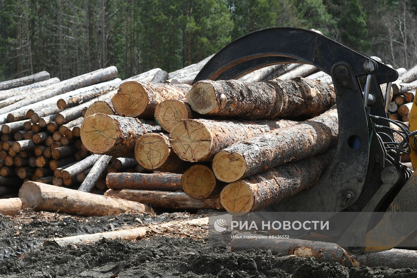 Предприятие лесозаготовки "Центр Сибири" в Красноярском крае