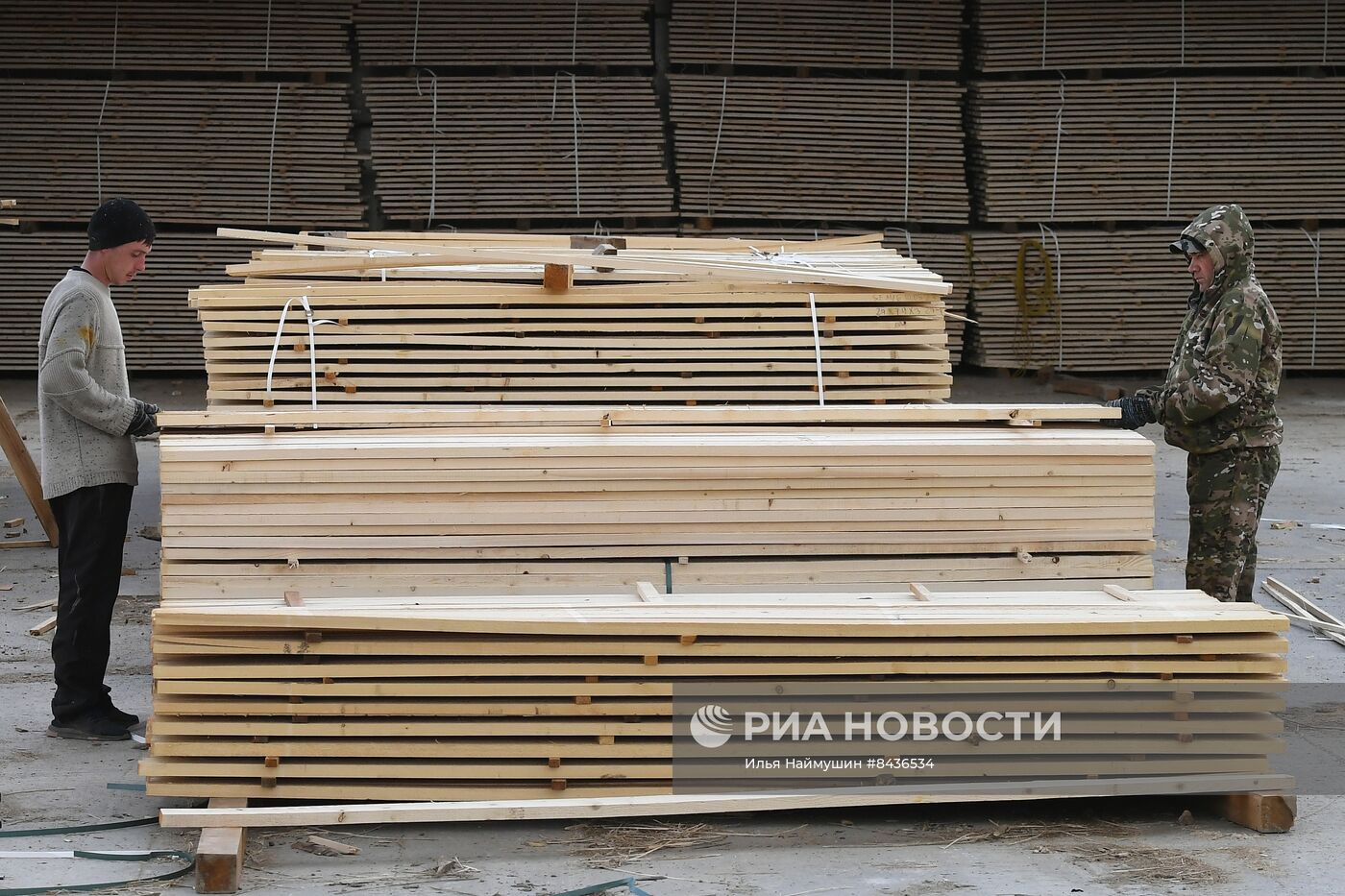 Предприятие лесозаготовки "Центр Сибири" в Красноярском крае