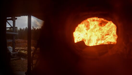 Предприятие лесозаготовки "Центр Сибири" в Красноярском крае