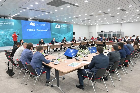 Участники сессии "Россия - Индонезия" в рамках XIV Международного экономического форума "Россия - Исламский мир: KazanForum". Фото могут быть использованы на условиях, указанных в разделе медиабанка, посвященном Форуму. Место: Россия, Республика Татарстан, Казань. Автор: Евгений Биятов/АНО "Дирекция спортивных и социальных проектов". KAZANFORUM 2023. Россия - Индонезия