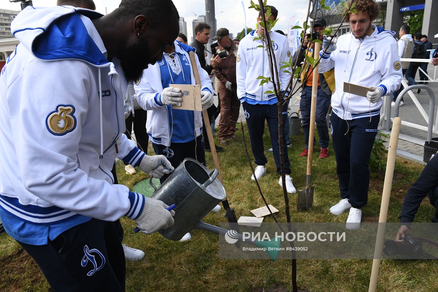 Посадка черешневых деревьев в рамках Открытого фестиваля искусств "Черешневый Лес"