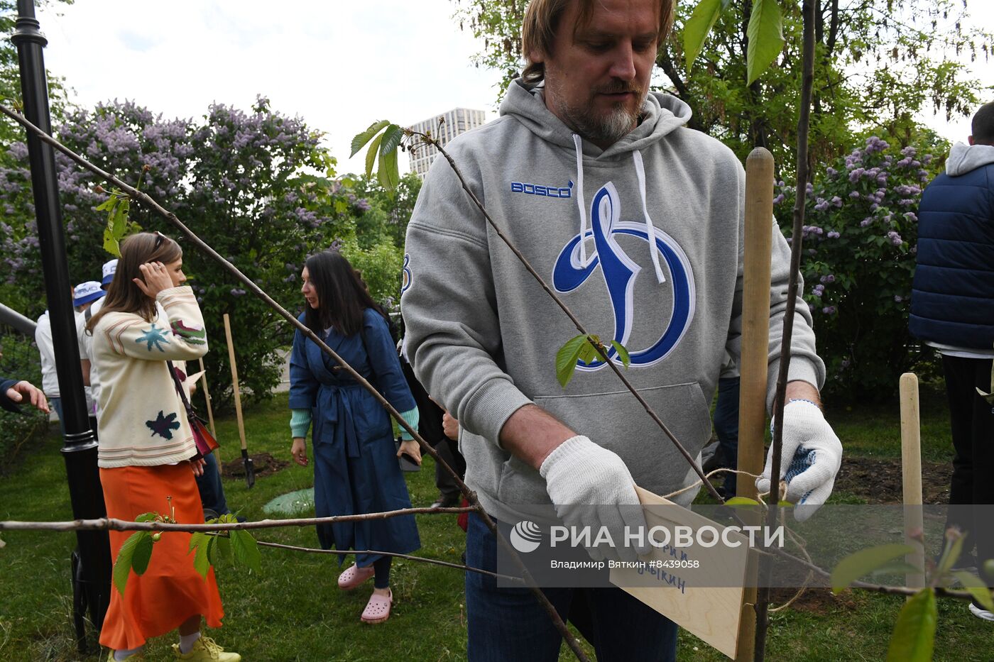 Посадка черешневых деревьев в рамках Открытого фестиваля искусств "Черешневый Лес"