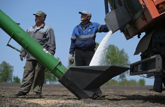 Посевная в Новосибирской области