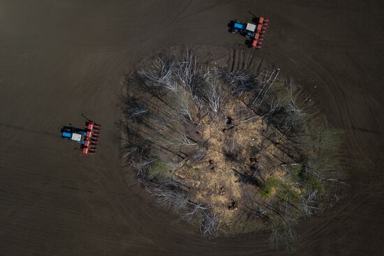 Посевная в Новосибирской области