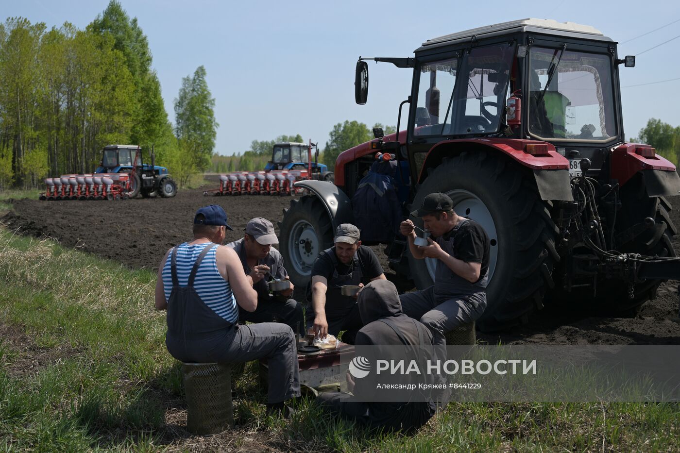 Посевная в Новосибирской области