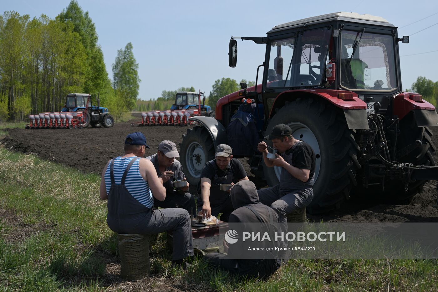 Посевная в Новосибирской области
