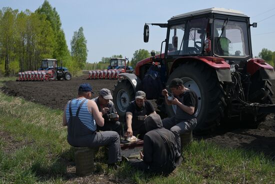 Посевная в Новосибирской области