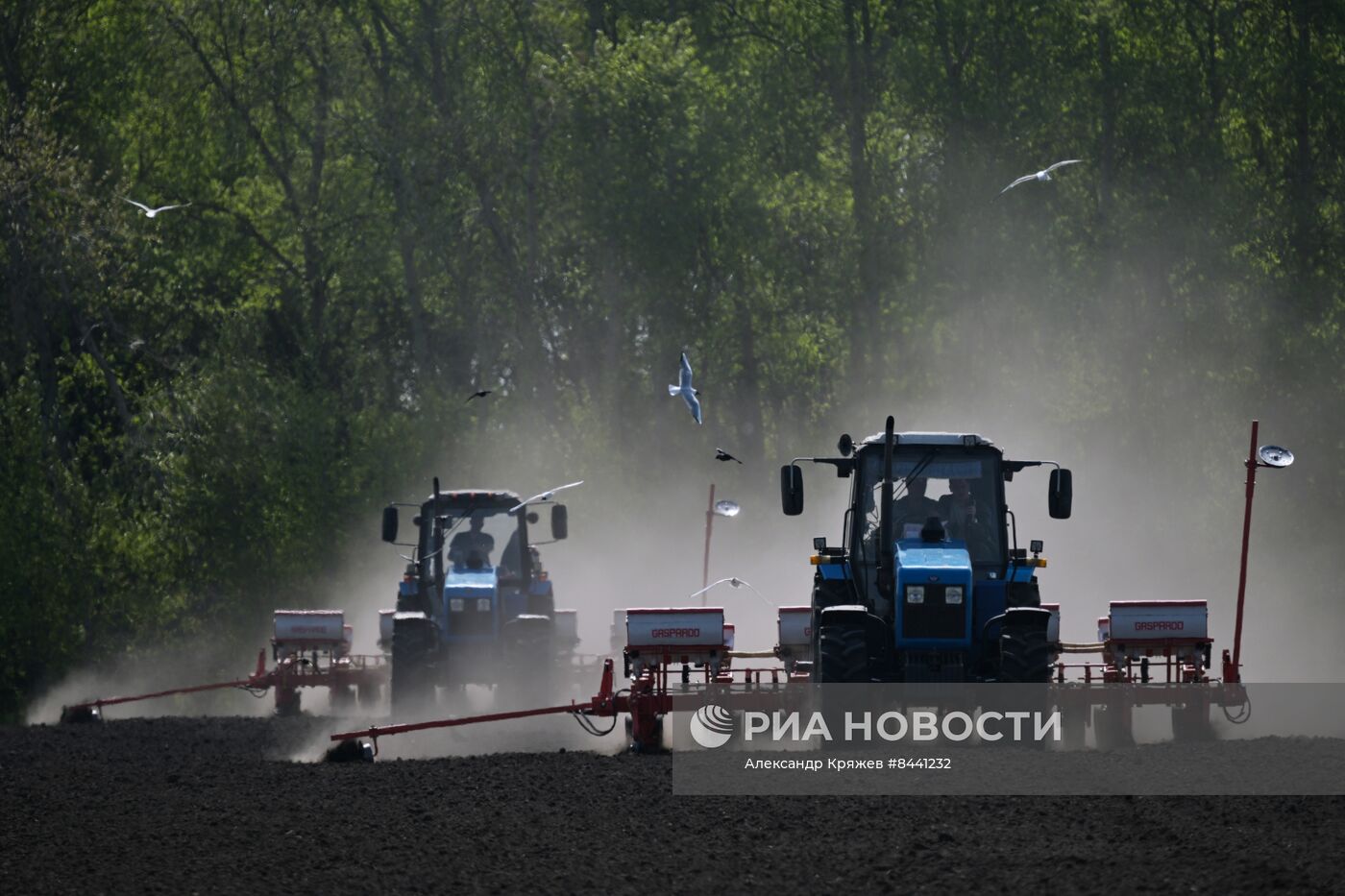 Посевная в Новосибирской области