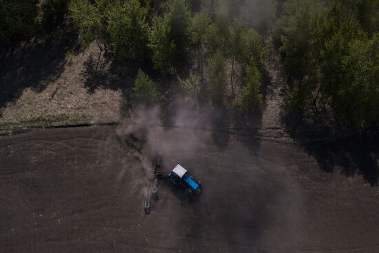 Посевная в Новосибирской области
