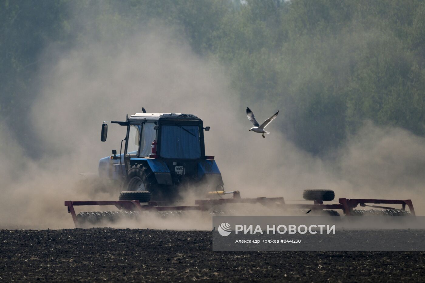 Посевная в Новосибирской области