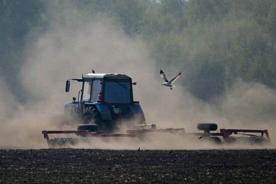 Посевная в Новосибирской области