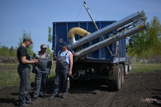 Посевная в Новосибирской области