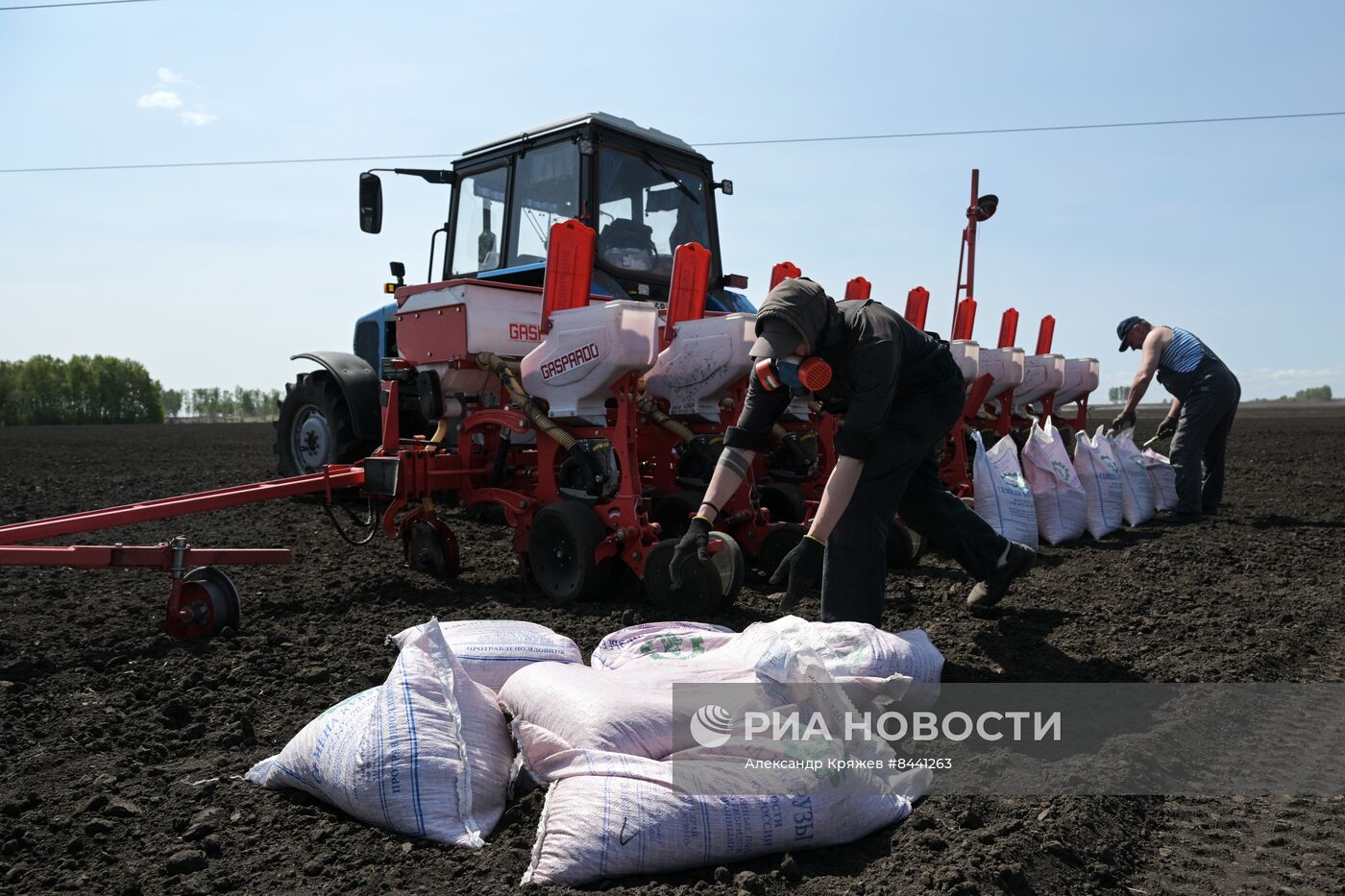 Посевная в Новосибирской области
