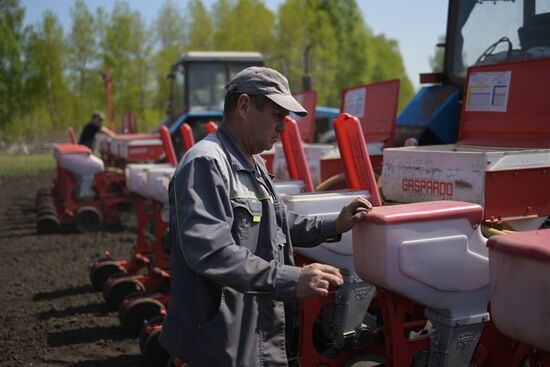Посевная в Новосибирской области