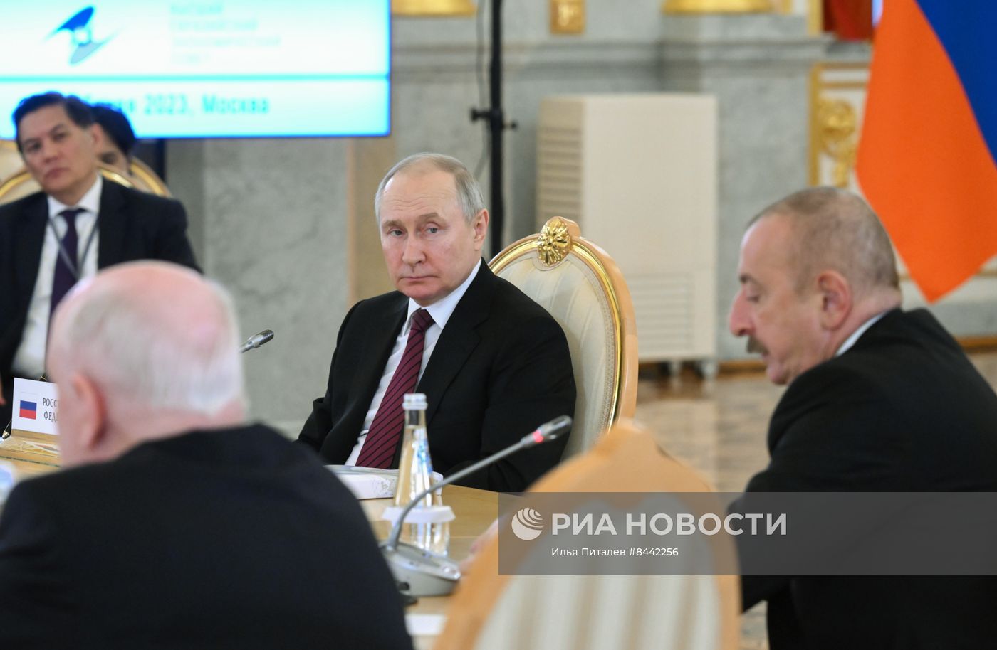 Заседание ВЕЭС под председательством президента РФ В. Путина