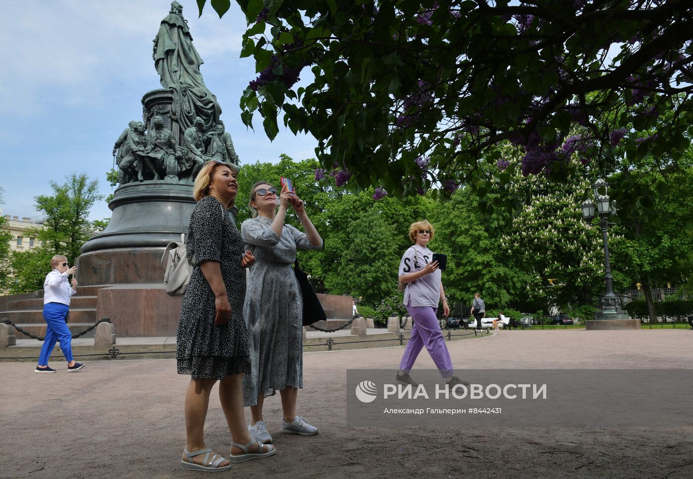 Цветение сирени в Санкт-Петербурге