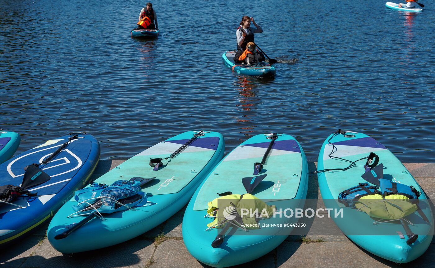Заплыв с домашними животными на сапбордах в Петербурге