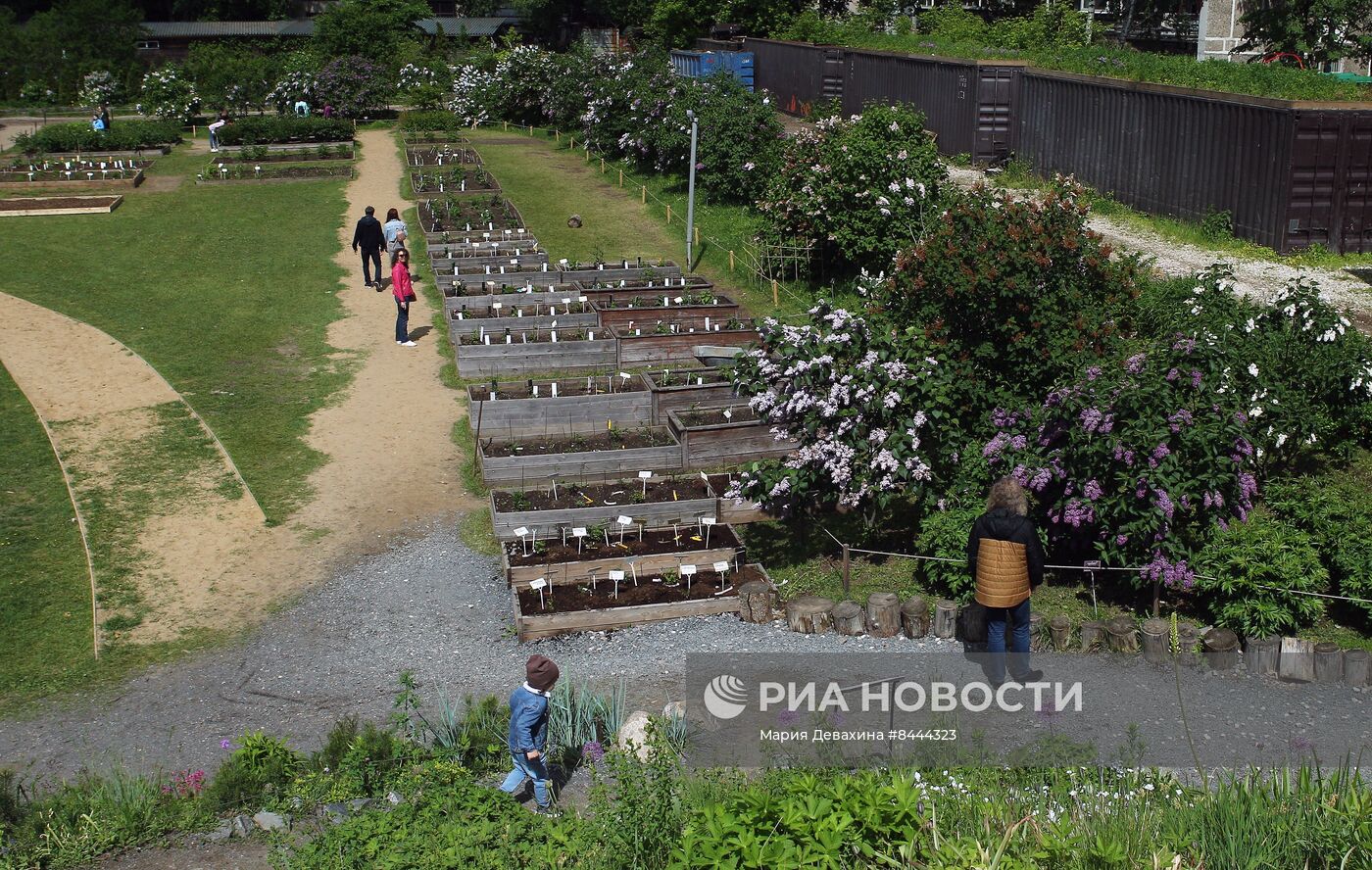 Выставка сирени в Ботаническом саду МГУ