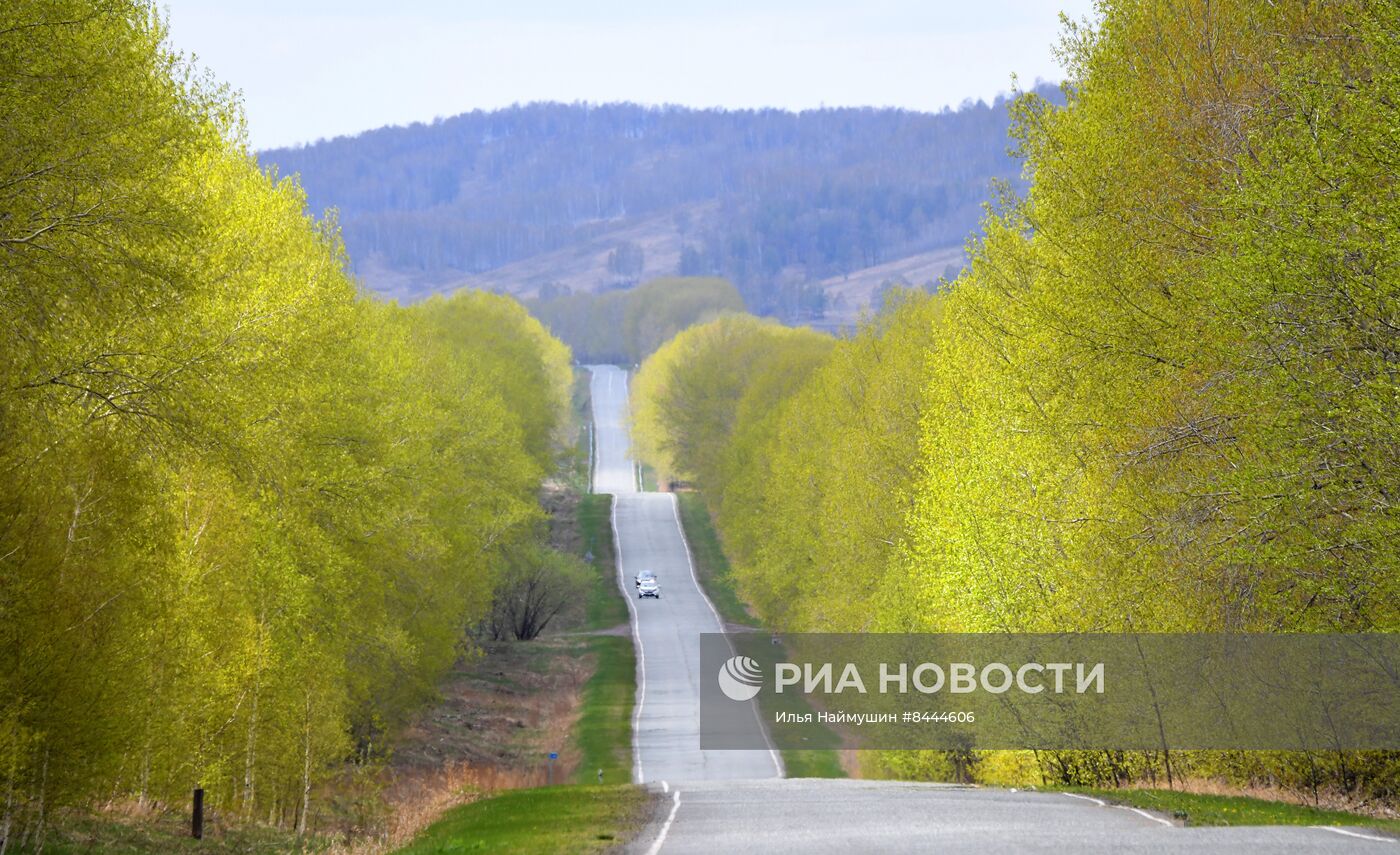 Весна в Красноярском крае