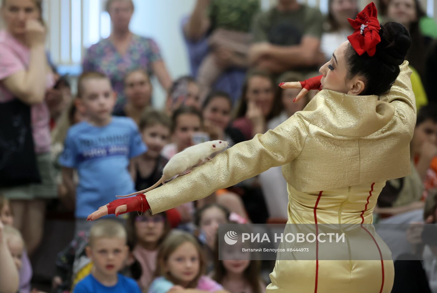Благотворительное цирковое представление в Морозовской детской больнице
