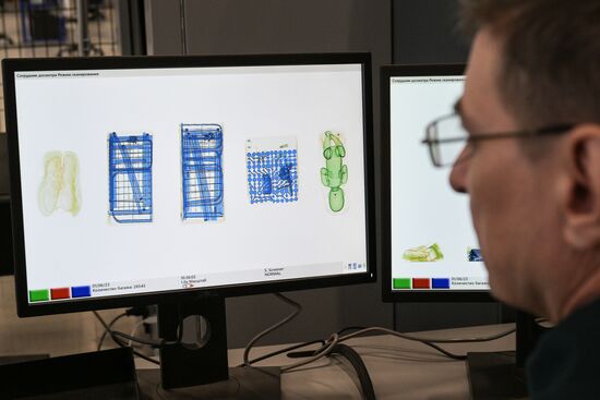 Работа почтового таможенного поста в Новосибирске