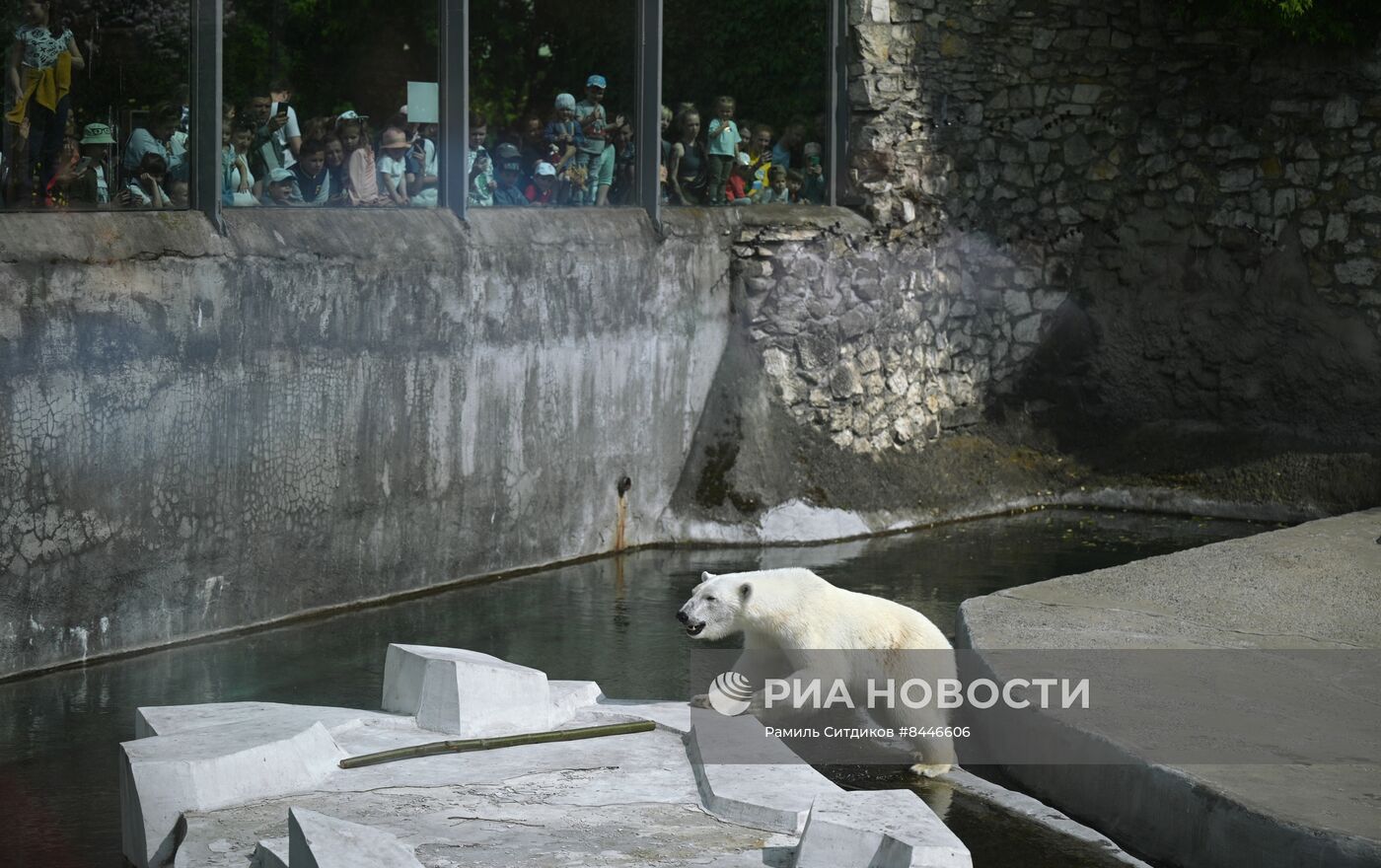 День защиты детей в Московском зоопарке