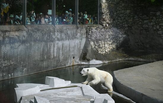 День защиты детей в Московском зоопарке