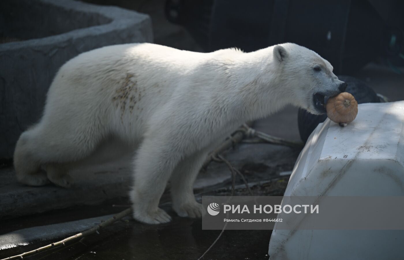 День защиты детей в Московском зоопарке