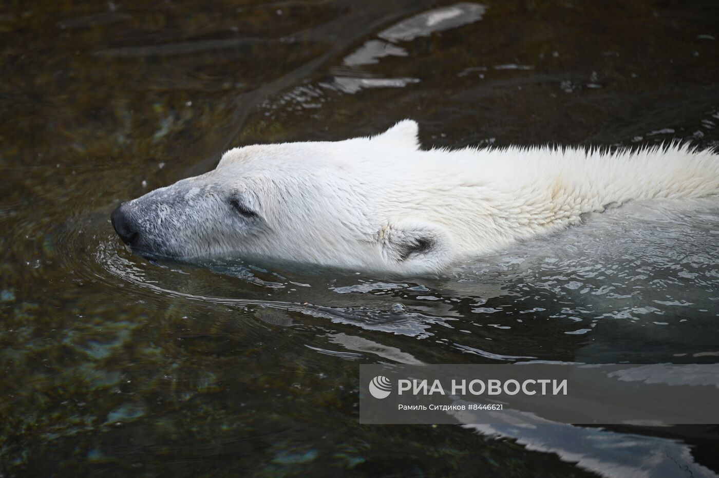 День защиты детей в Московском зоопарке