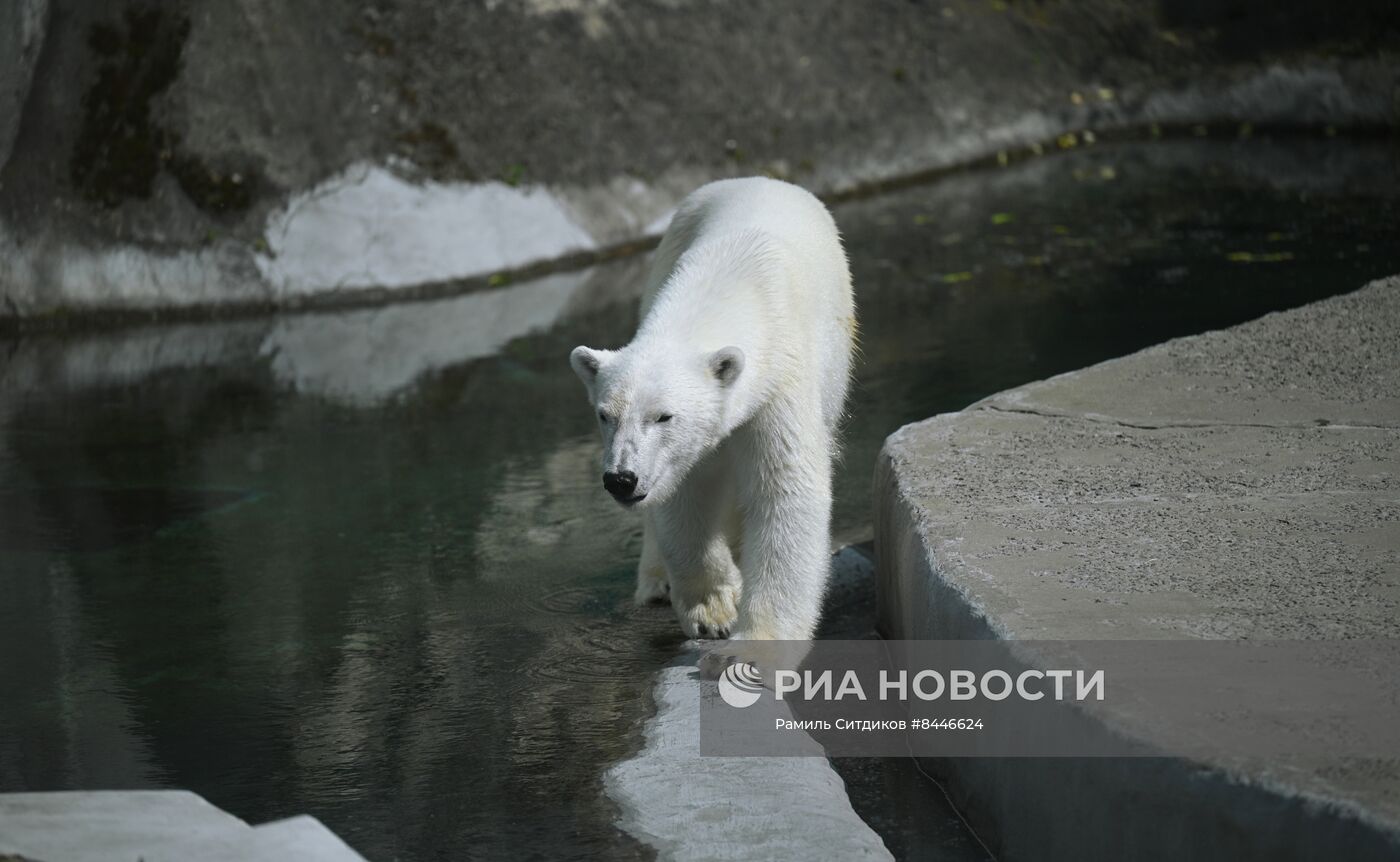 День защиты детей в Московском зоопарке