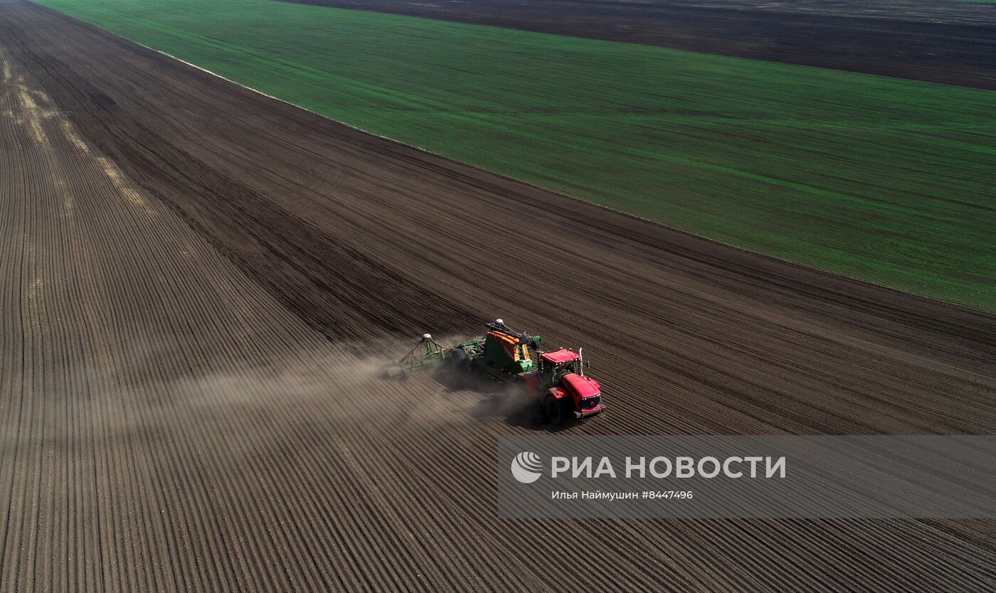 Посевная в Красноярском крае