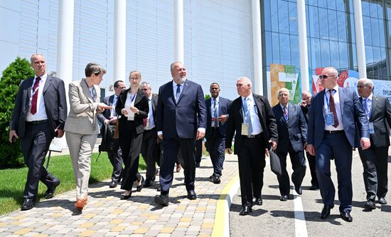 Встреча вице-премьера правительства РФ Д. Чернышенко и премьер-министра Кубы М. М. Крусом