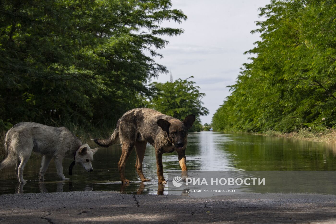 Последствия прорыва Каховской ГЭС