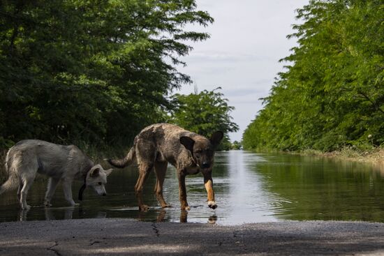 Последствия прорыва Каховской ГЭС