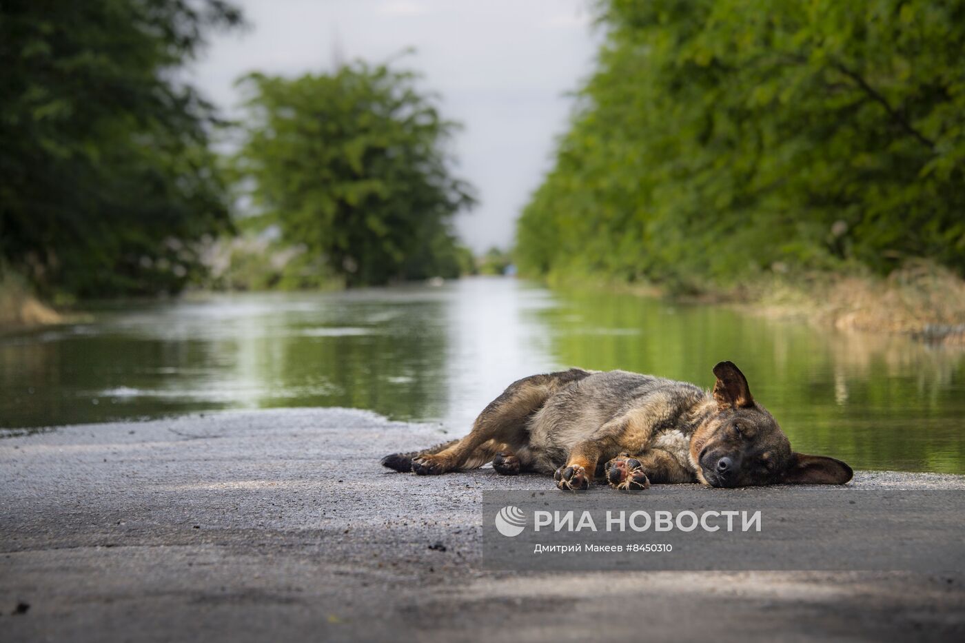Последствия прорыва Каховской ГЭС