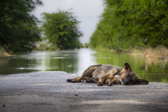 Последствия прорыва Каховской ГЭС