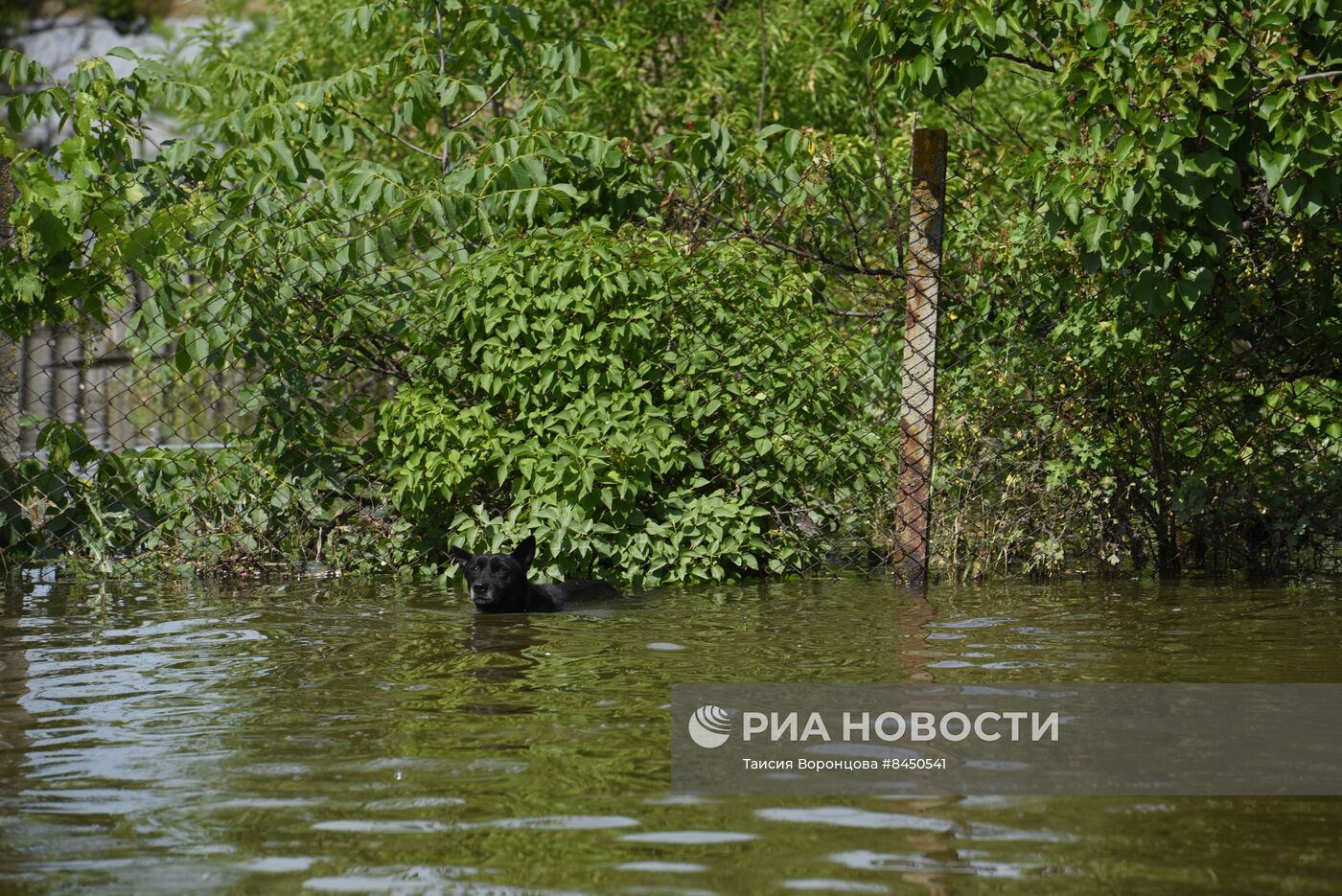 Последствия прорыва Каховской ГЭС