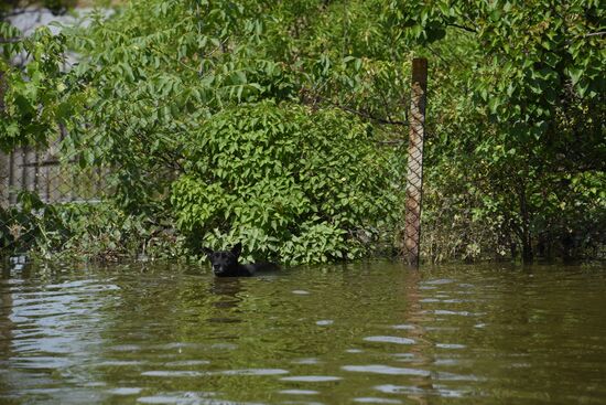 Последствия прорыва Каховской ГЭС