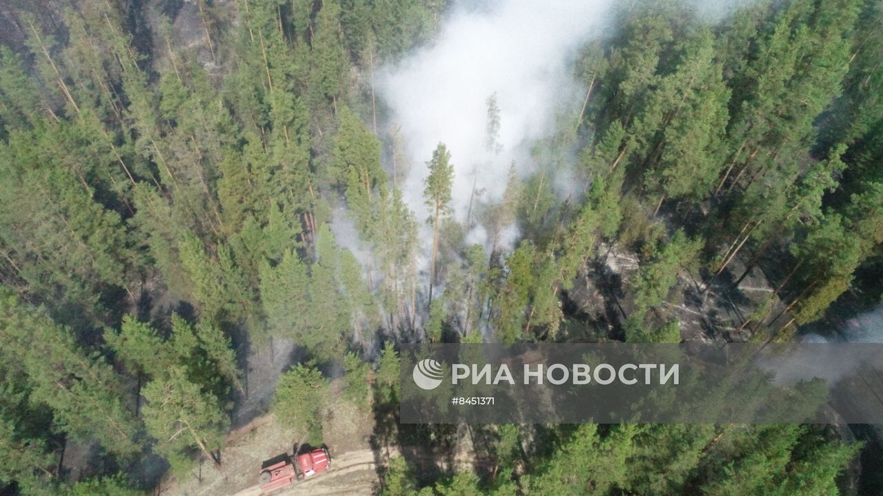 В Егорьевском районе Алтайского края ввели режим ЧС из-за крупного лесного пожара