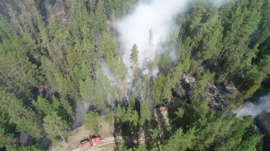 В Егорьевском районе Алтайского края ввели режим ЧС из-за крупного лесного пожара