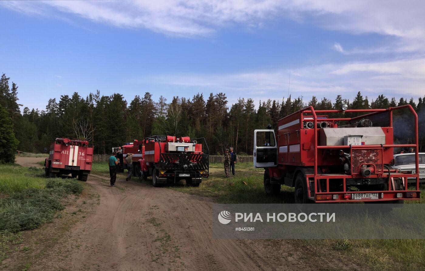 В Егорьевском районе Алтайского края ввели режим ЧС из-за крупного лесного пожара