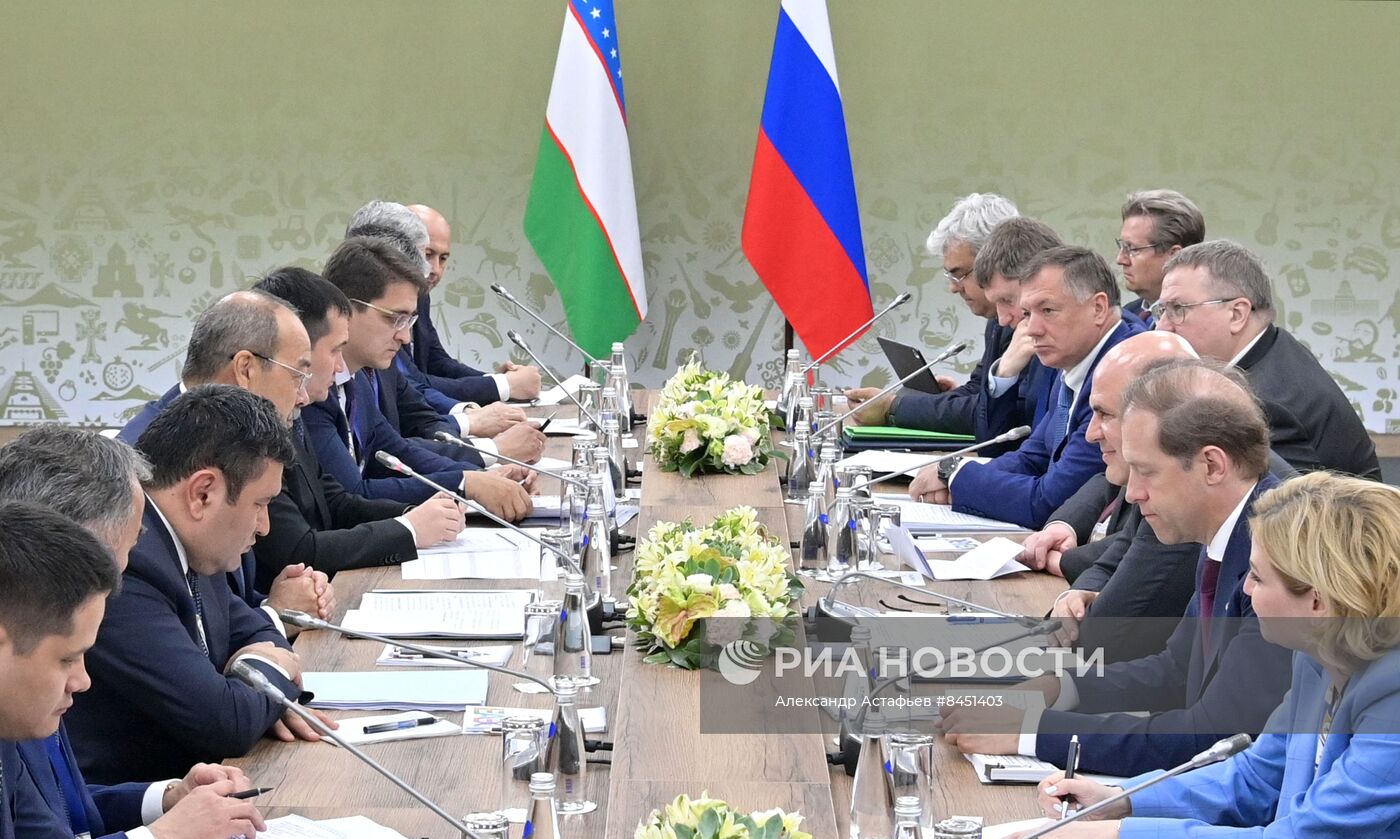 Премьер-министр РФ М. Мишустин принял участие в работе межправительственного совета стран ЕАЭС и Совета глав правительств СНГ