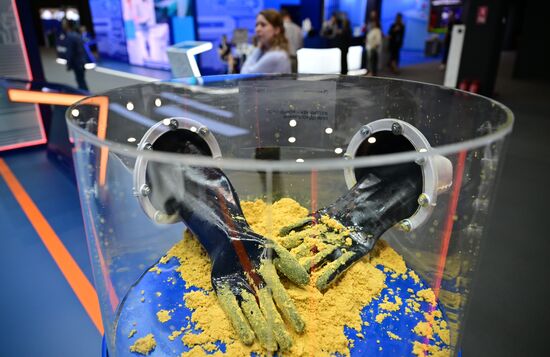 Желтый кек - концентрат природного урана на стенде госкорпорации "Росатом" на выставке Евразийского экономического форума на территории Парка науки и искусства "Сириус". Место: Россия, Федеральная территория "Сириус". Автор: Рамиль Ситдиков/РИА Новости. ЕАЭС-2023. Работа форума