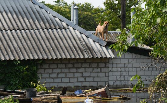 Эвакуационные работы в Херсонской области