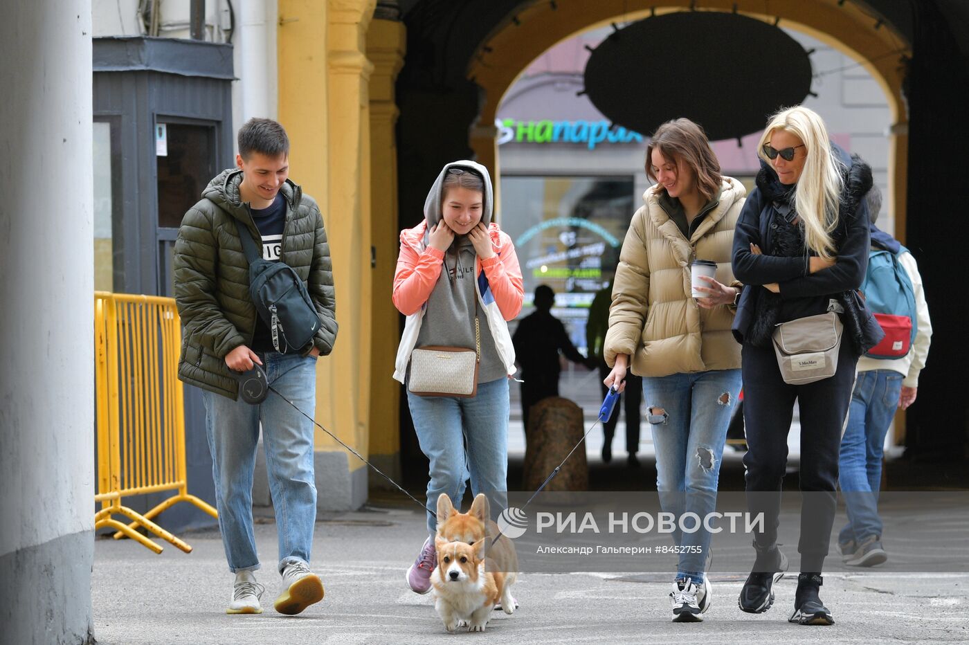 Встреча клуба любителей породы корги в Петербурге