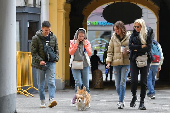 Встреча клуба любителей породы корги в Петербурге