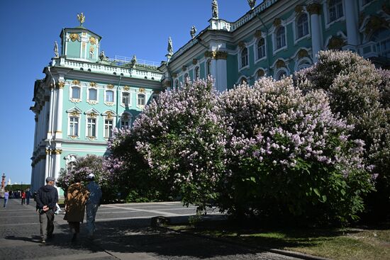 Виды Санкт-Петербурга